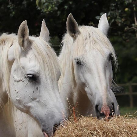 ホテル Ferme Clatot Les Trois Pierres エクステリア 写真