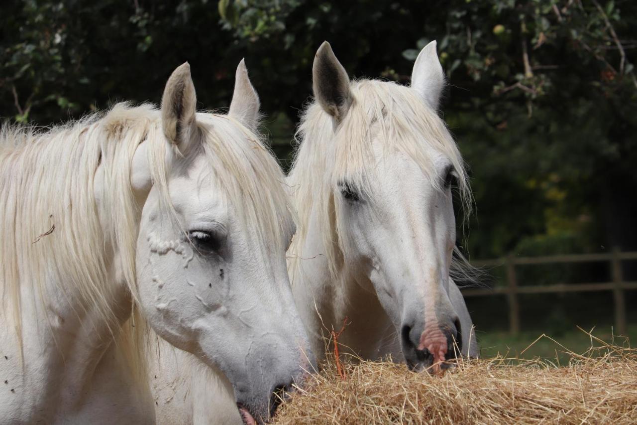 ホテル Ferme Clatot Les Trois Pierres エクステリア 写真
